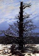 Caspar David Friedrich The Oaktree in the Snow oil painting on canvas